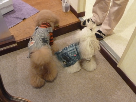 2011.10.21 整体治療_a0083571_064931.jpg