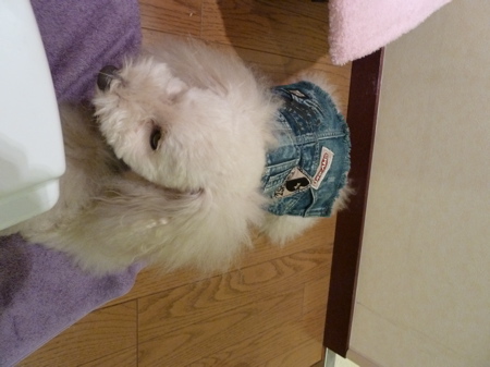 2011.10.21 整体治療_a0083571_09072.jpg