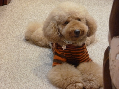 2011.10.21 整体治療_a0083571_093959.jpg