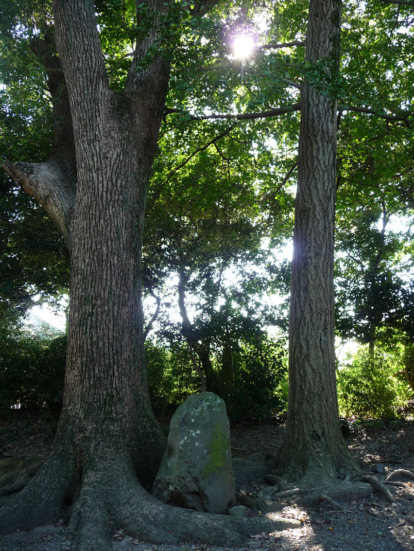 熊野神を祀る吉井神社　（秋祭り）_e0165472_1113474.jpg