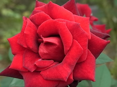 c0209377_22574385.jpg