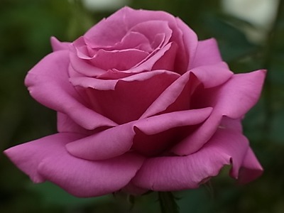 c0209377_22581239.jpg