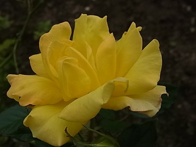 c0209377_22584687.jpg