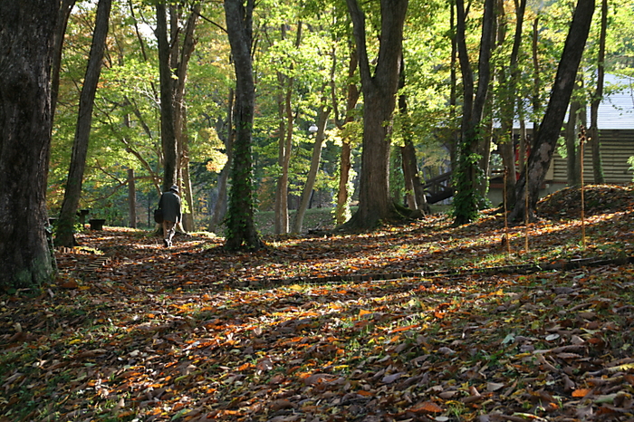 10/16 森林公園の散策で_c0112479_7284919.jpg