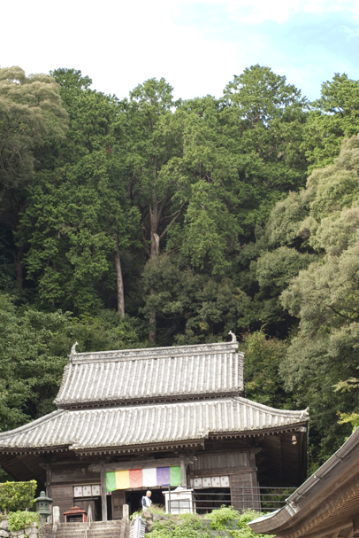 遍路で出会った人(四国歩き遍路その五)_b0194880_1154914.jpg