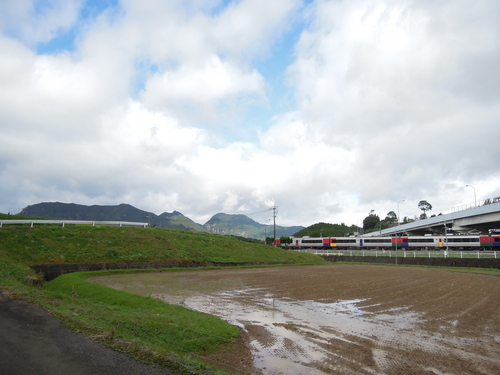 削り作業と写真撮り。_d0195183_23262868.jpg