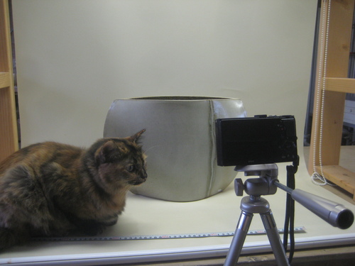 削り作業と写真撮り。_d0195183_23401139.jpg