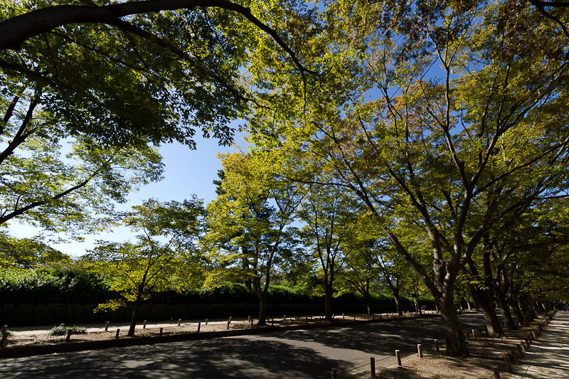 植物園へ・・・_f0224083_23193069.jpg