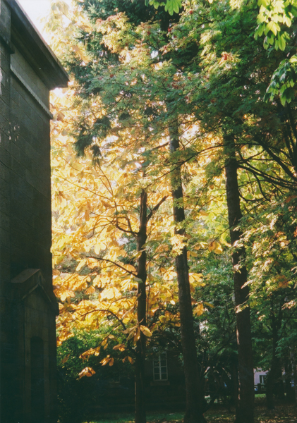 c0160185_823474.jpg
