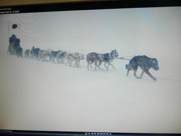 木村拓也主演の南極大陸第1回を視聴して　on　2011-10-16_b0118987_2219205.jpg