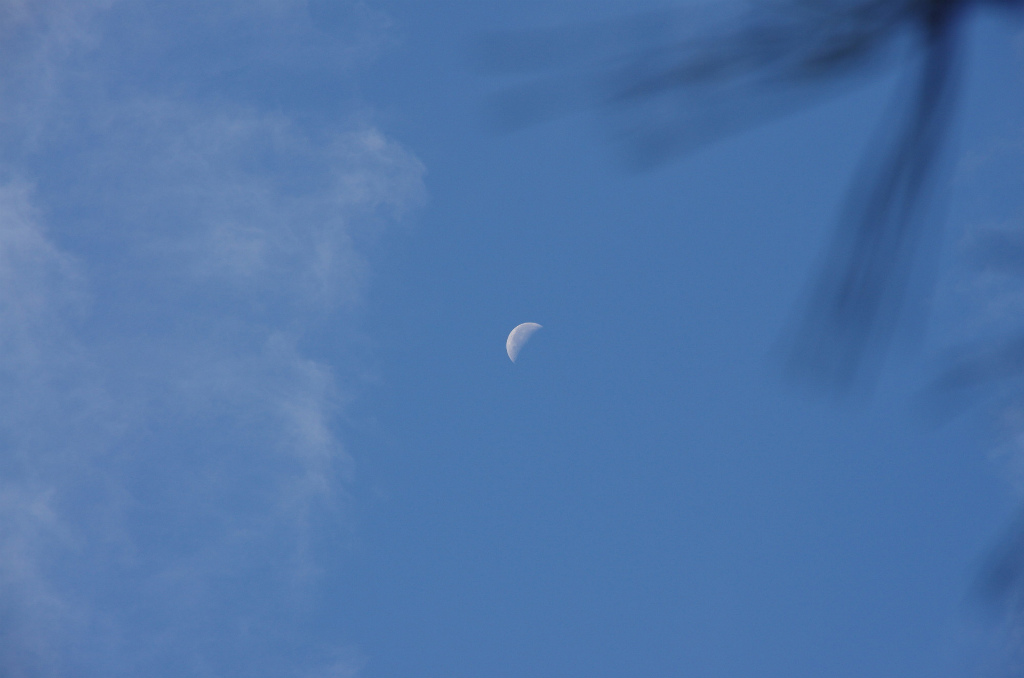 c0132387_12554736.jpg