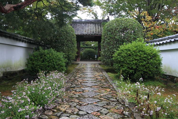 源光庵_e0051888_21372252.jpg