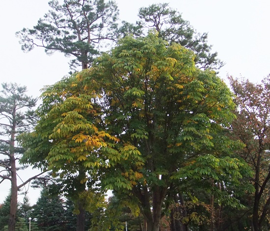 f0215591_11242924.jpg