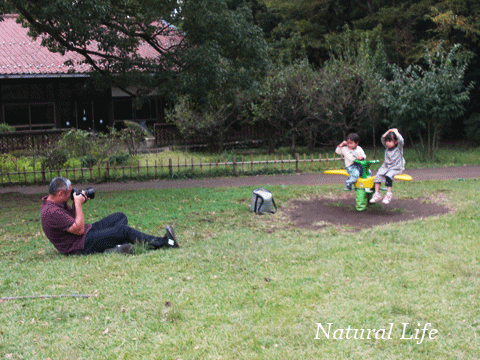 b0162000_4121865.gif