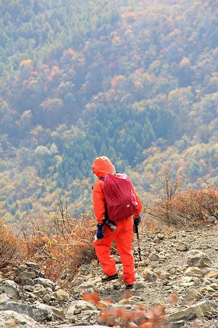 e0137200_22135059.jpg