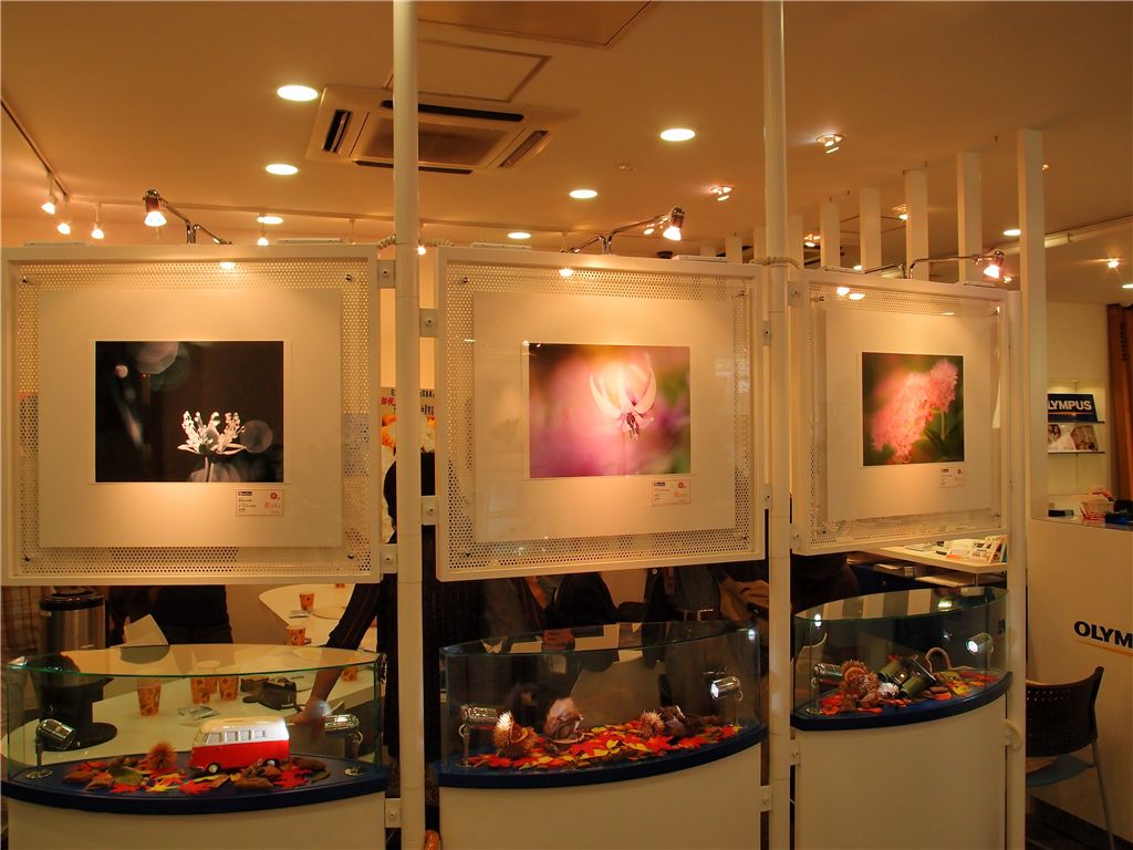 f0224100_9102330.jpg