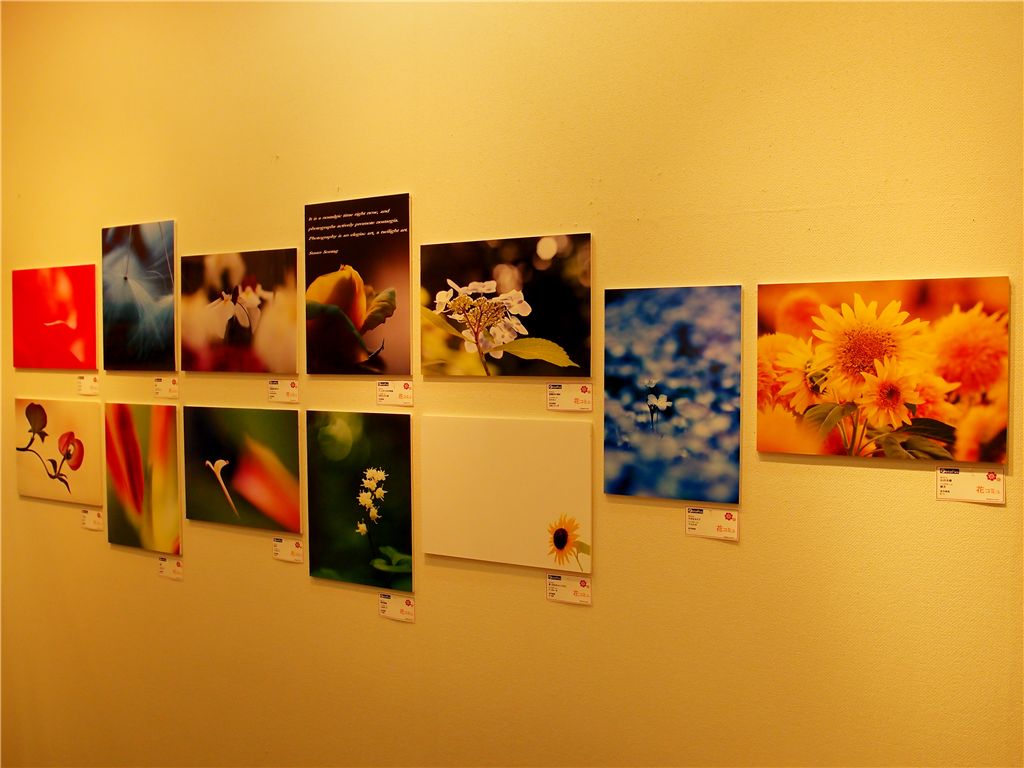 f0224100_911530.jpg
