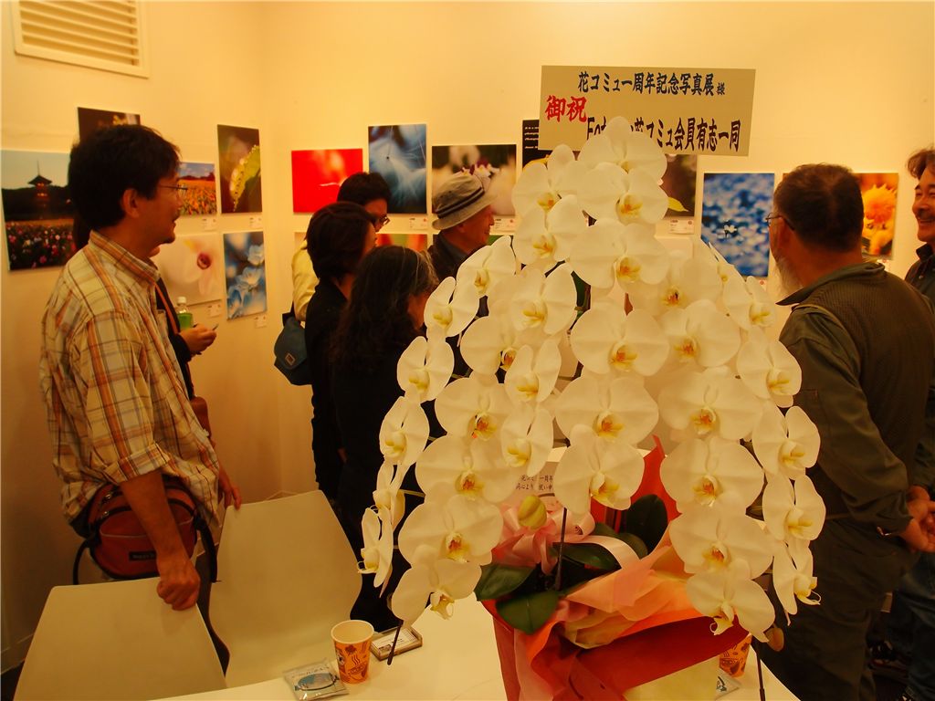 f0224100_913124.jpg