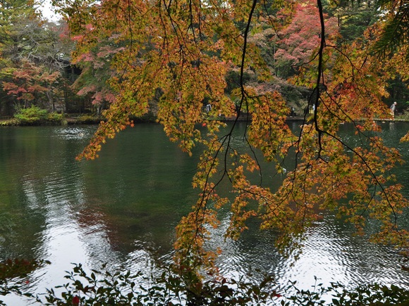 b0228502_023310.jpg