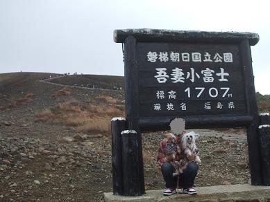 f0179203_16501479.jpg