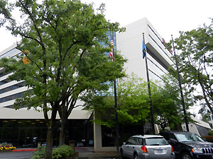 e0118904_11124627.jpg