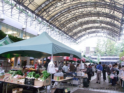 f0203406_1845365.jpg