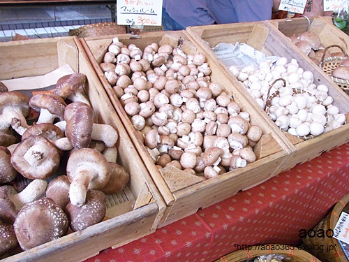 f0203406_185447.jpg