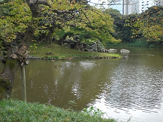 d0131207_15382365.jpg