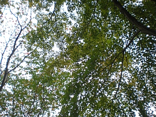 d0131207_15382590.jpg