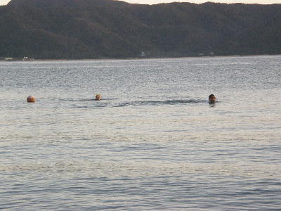 f0057507_21421727.jpg