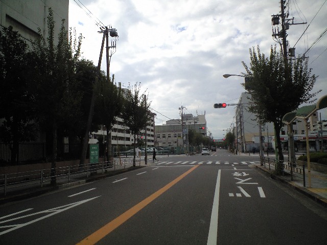 大阪マラソン自転車で試走 と 餅匠 しずく_a0194908_23583219.jpg