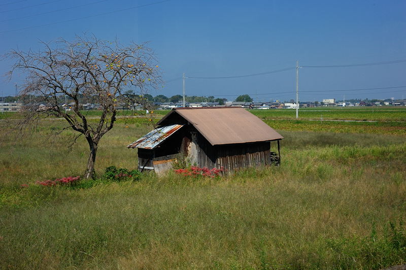 近江鉄道ブラリ旅 其の四_f0032011_17532816.jpg