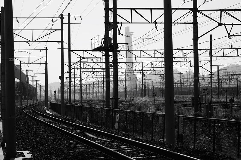 近江鉄道ブラリ旅 其の四_f0032011_1753504.jpg