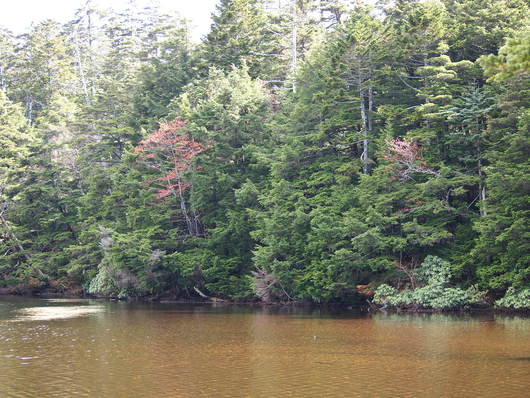 d0183417_21591967.jpg