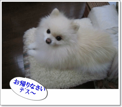 b0167519_20361516.gif