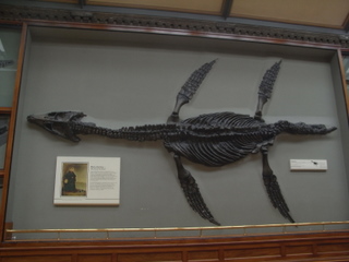 f0032125_20124950.jpg