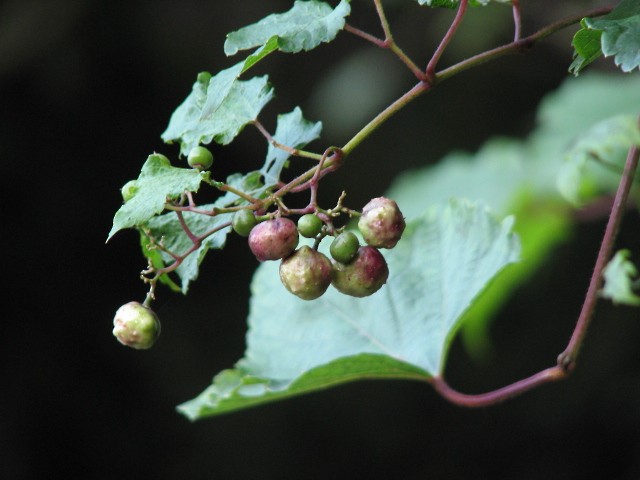 d0024426_19257.jpg