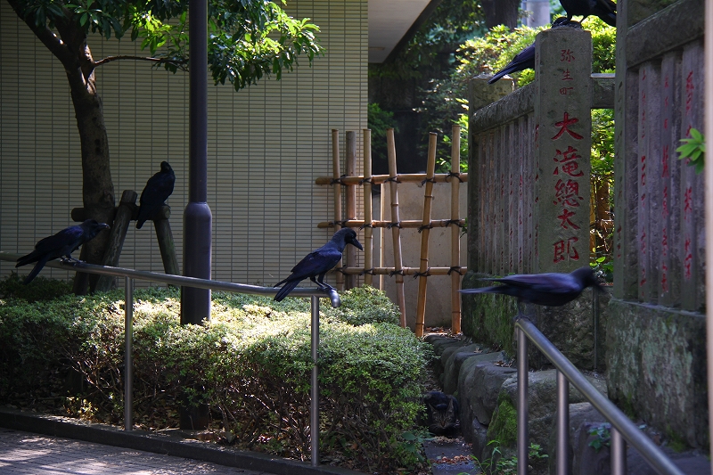 f0229832_1084012.jpg