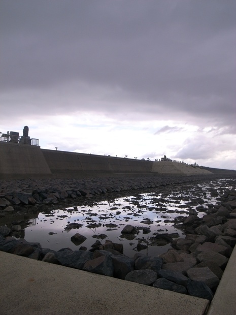 f0176239_1226108.jpg