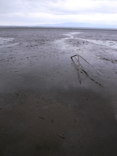 f0176239_1229466.jpg