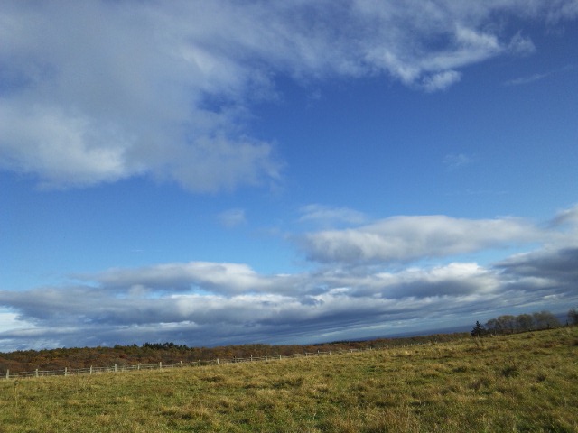e0145441_21385538.jpg
