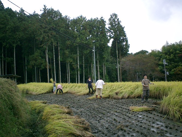 土曜日の　結の里_b0132746_21593511.jpg