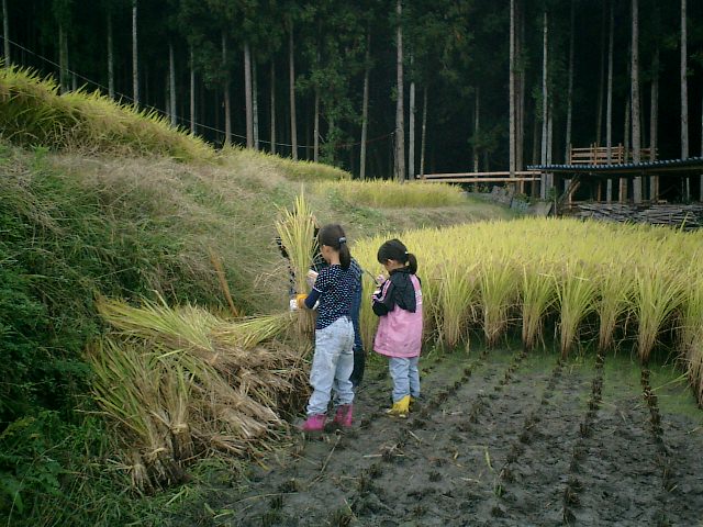 土曜日の　結の里_b0132746_215956100.jpg