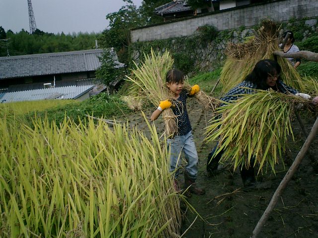 土曜日の　結の里_b0132746_2244868.jpg