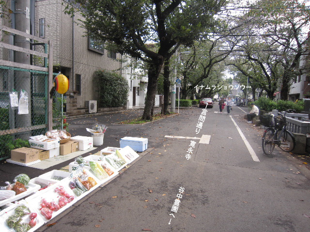 d0063149_2154463.jpg