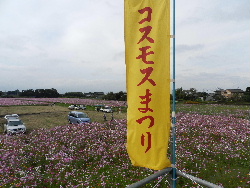 e0172950_2324217.jpg