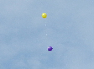 e0172950_2362658.jpg