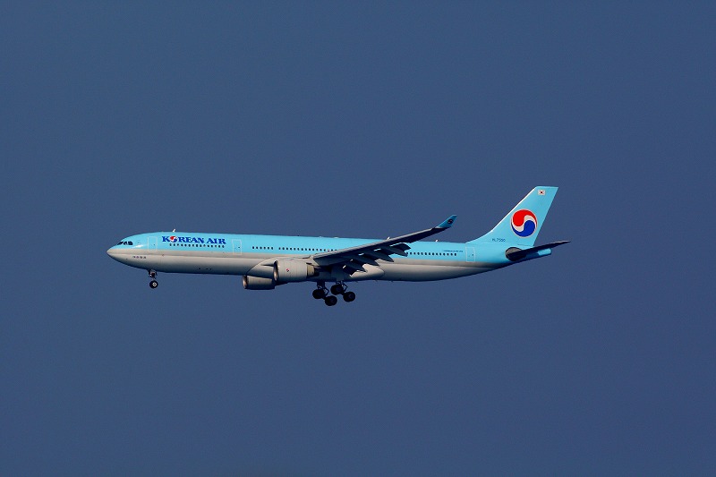 c0101558_1036506.jpg