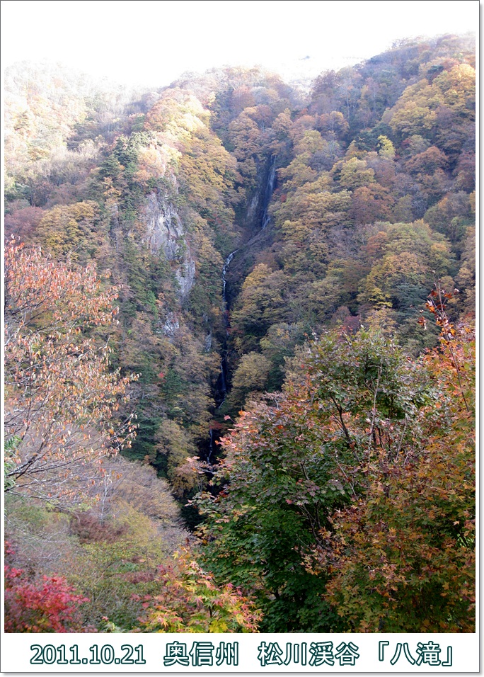 a0052666_4465538.jpg