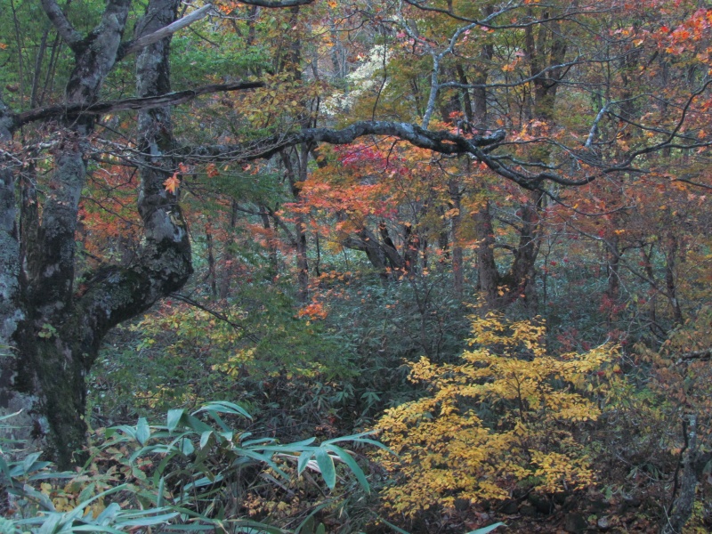c0183777_63518.jpg